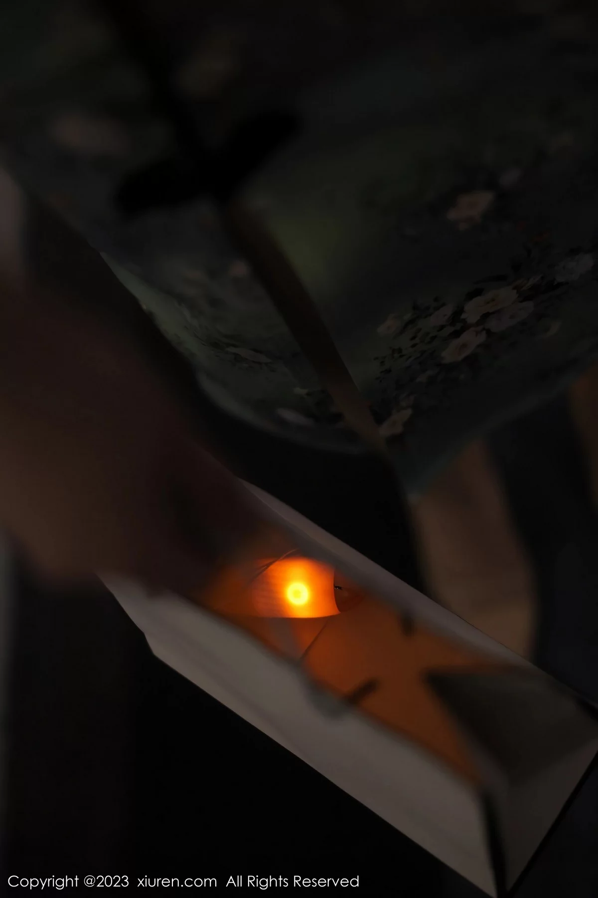 模特Arude薇薇绿灰色旗袍露黑色蕾丝内衣秀曼妙身姿诱惑写真69P-第1章-图片3